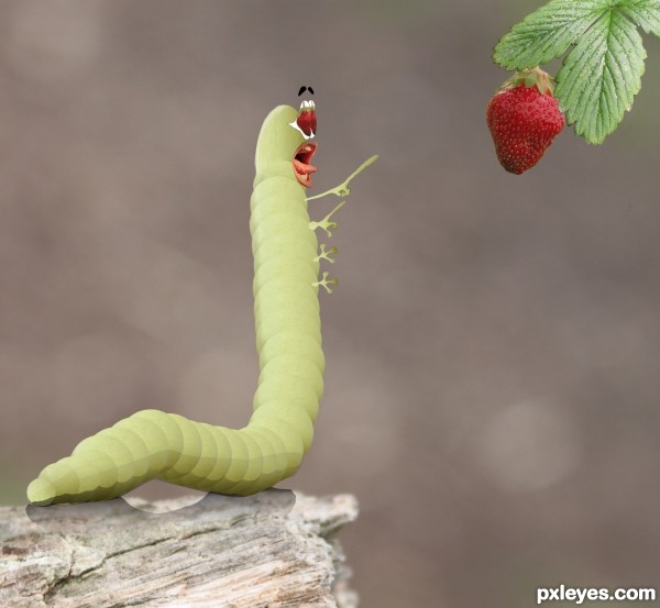 Hungry worm